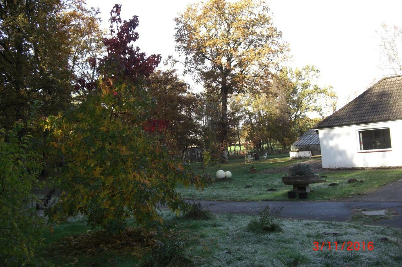 Ferienwohnung Huus Ton Witten Barg Undeloh Esterno foto